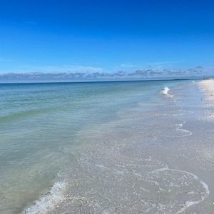 Meet your Posher, Penny